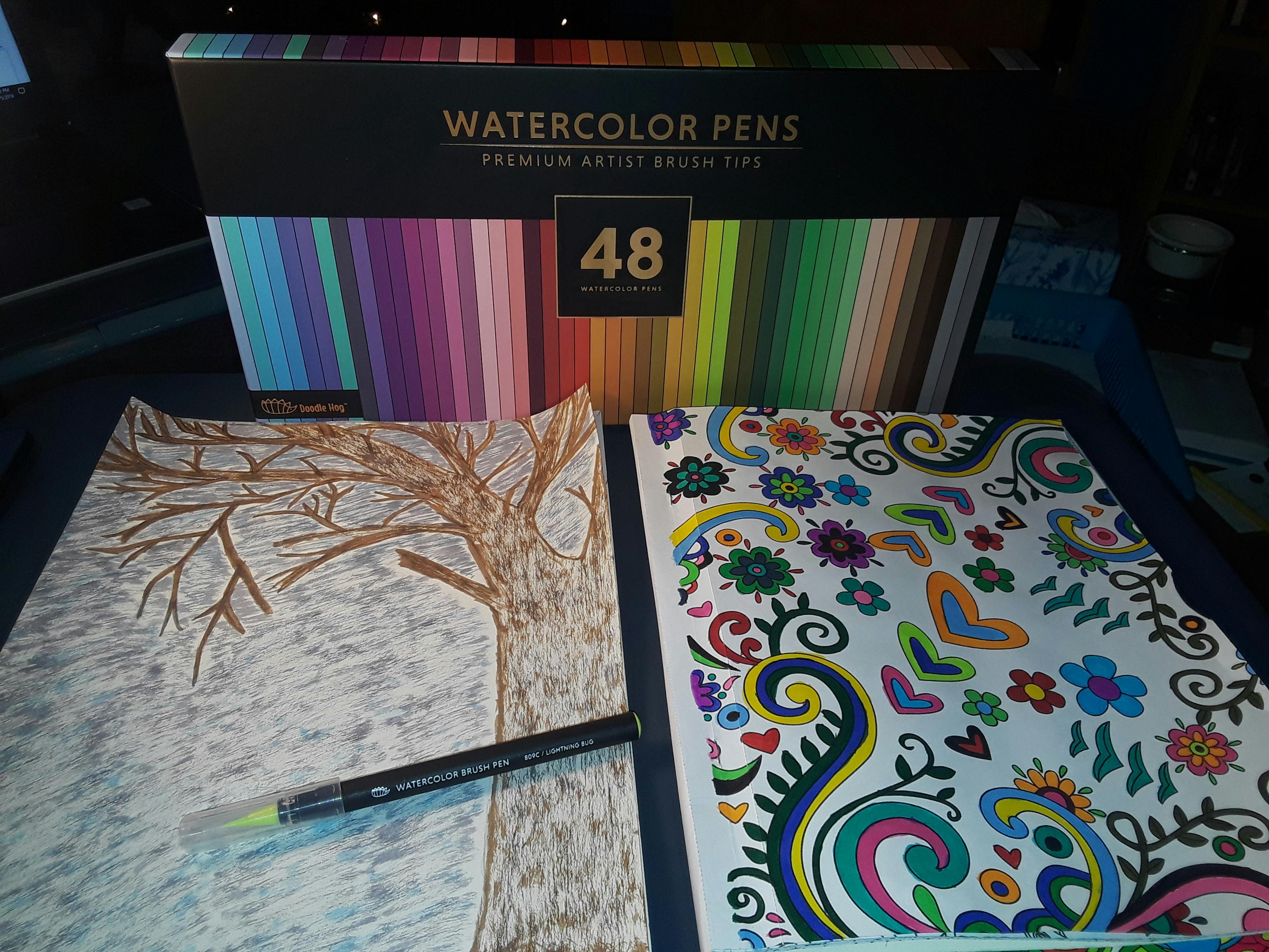 48 Premium Watercolor Brush Pens for Beginner to Professional Artist Doodle Hog